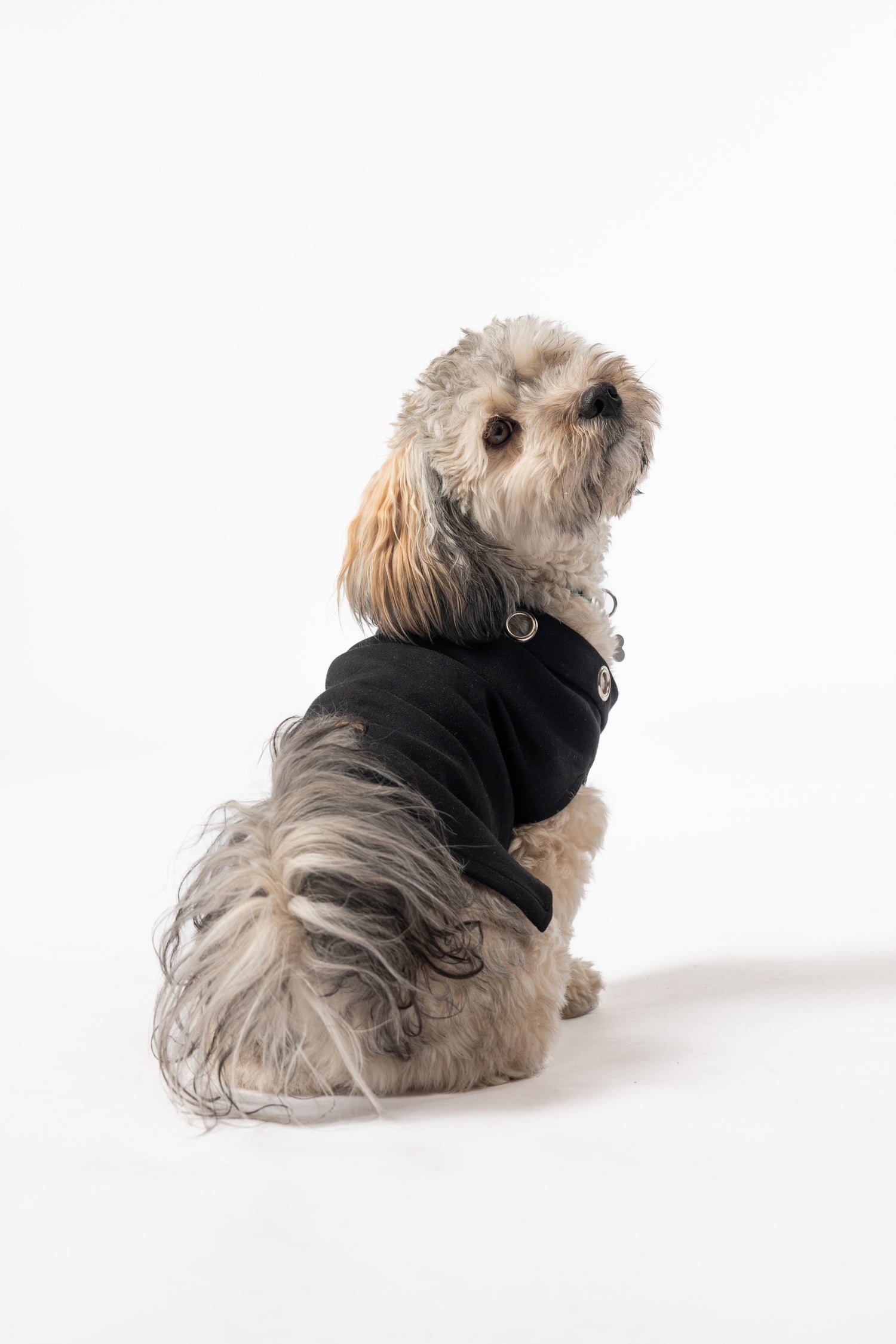 The Eyelet Dog-Shirt