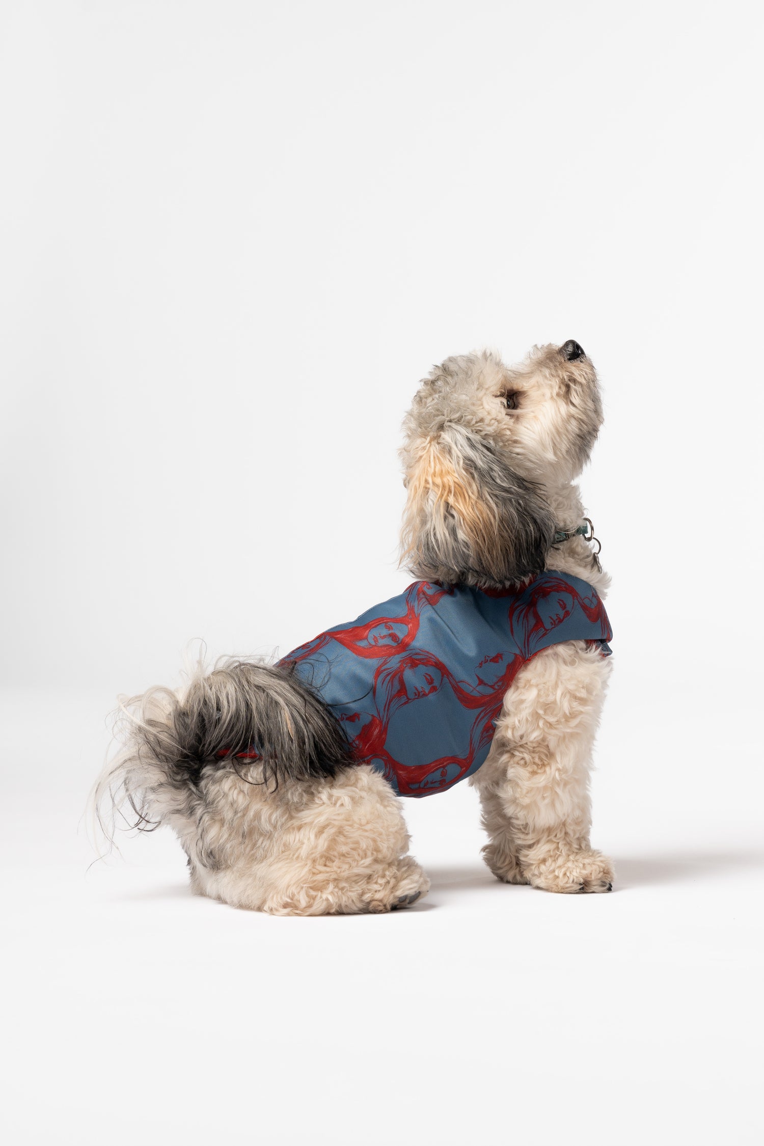 Dog Jacket - Kockum pattern