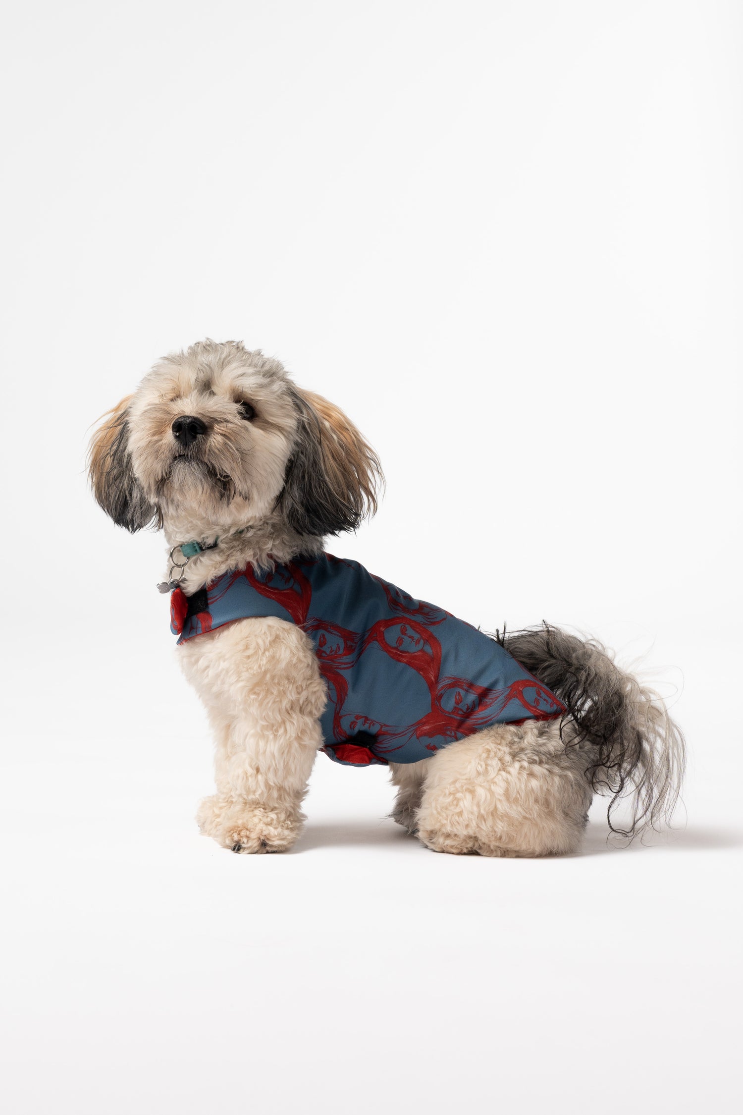 Dog Jacket - Kockum pattern