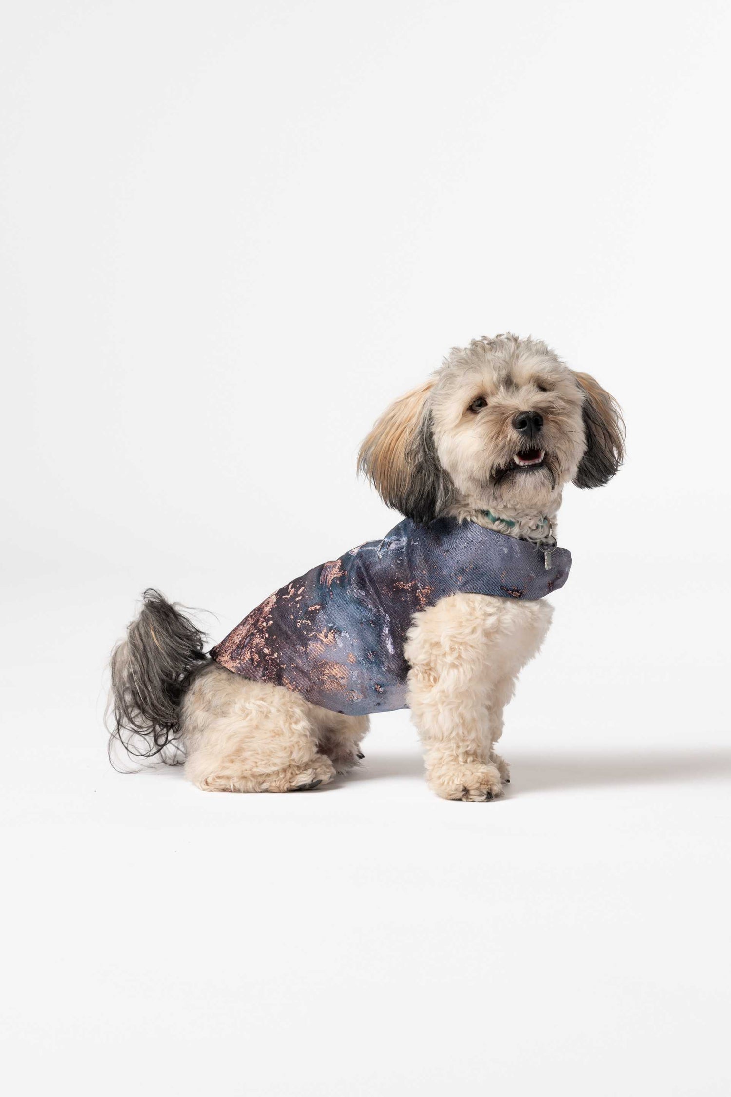 Dog Jacket - Egnell x Charlie AK (blue)