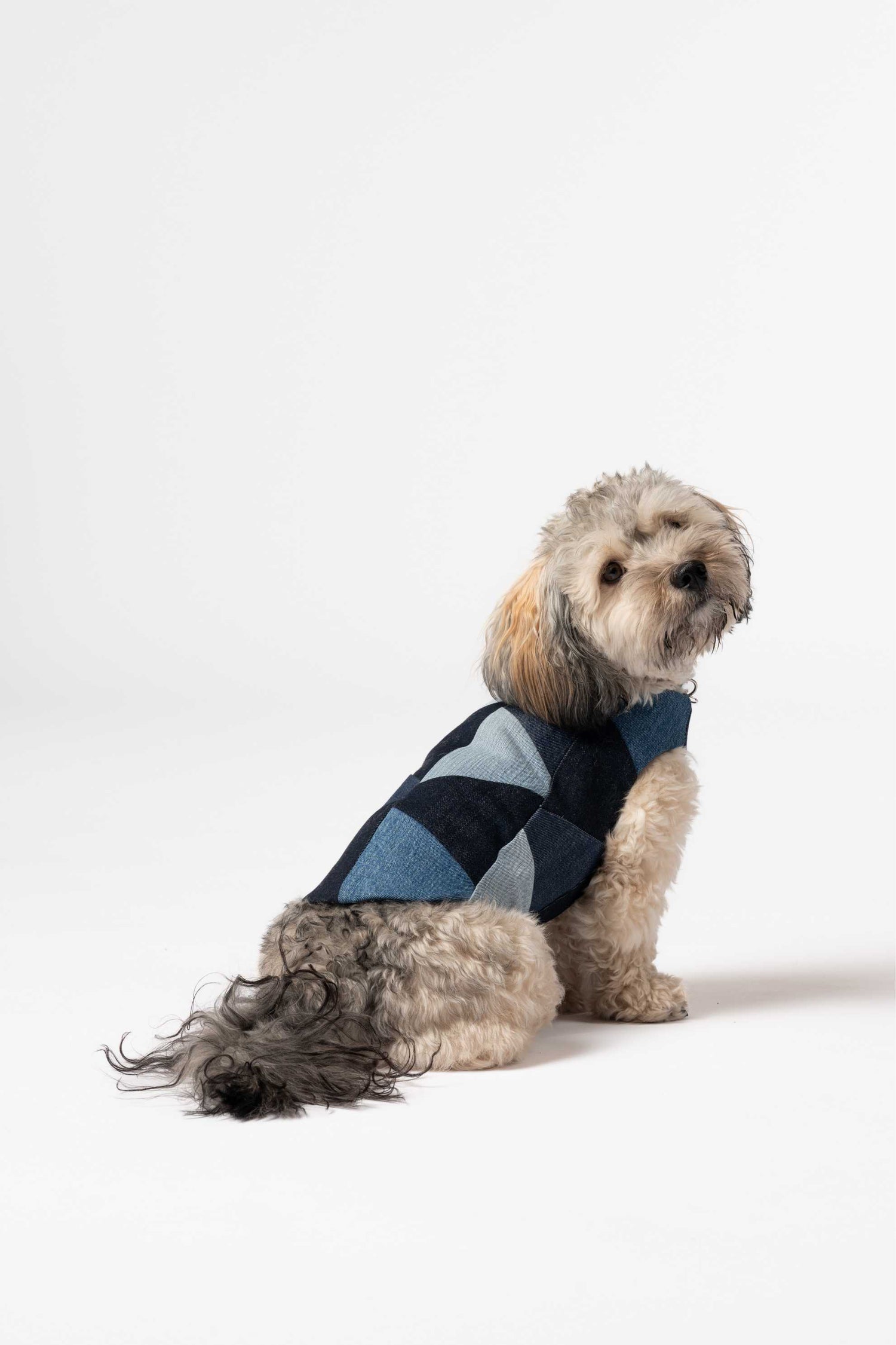 Dog jacket - denim