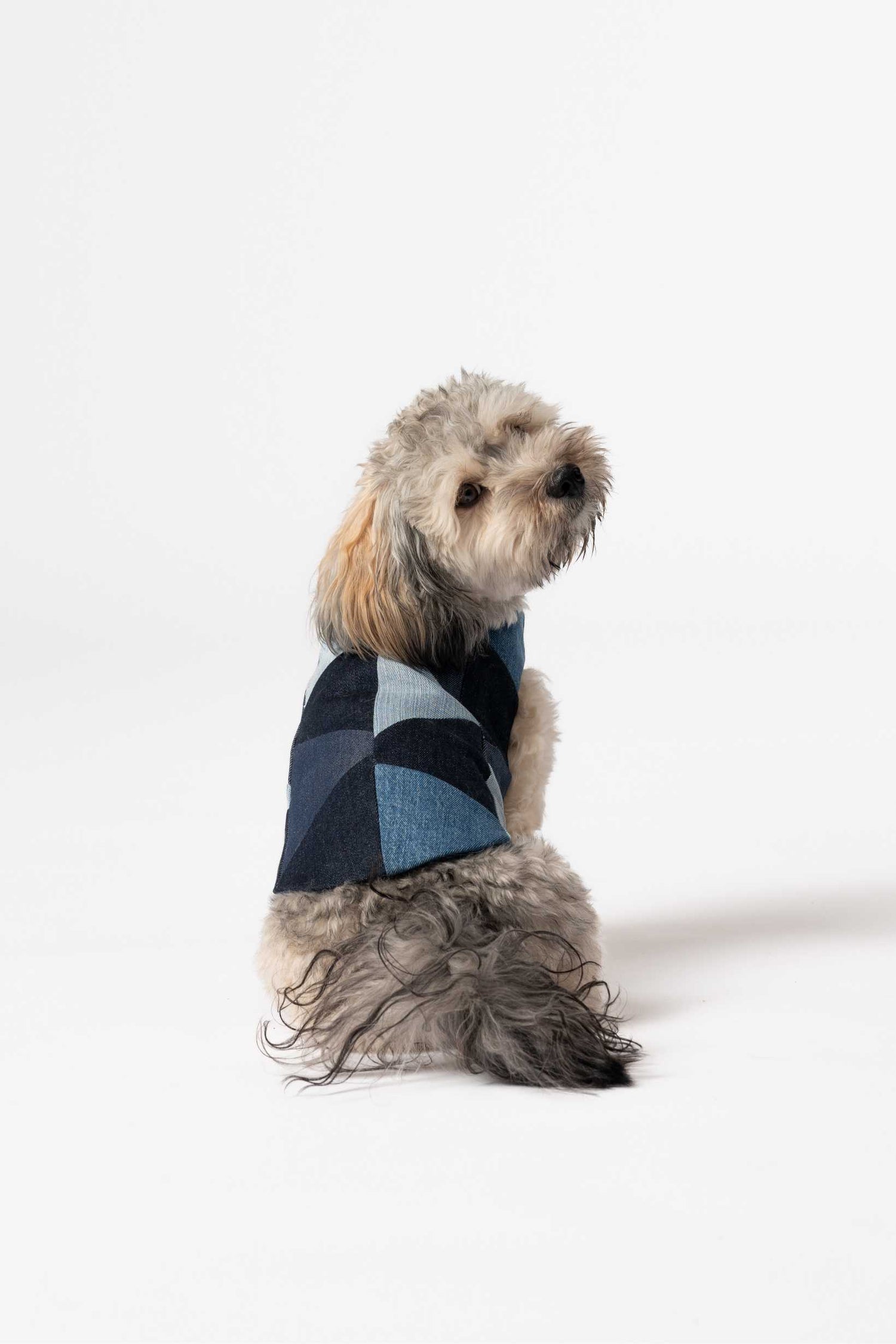 Dog jacket - denim